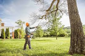 Best Arborist Consultation Services  in North Wildwood, NJ