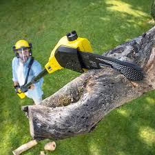 Best Leaf Removal  in North Wildwood, NJ