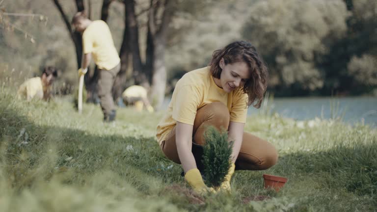 Best Lawn Disease Treatment  in North Wildwood, NJ