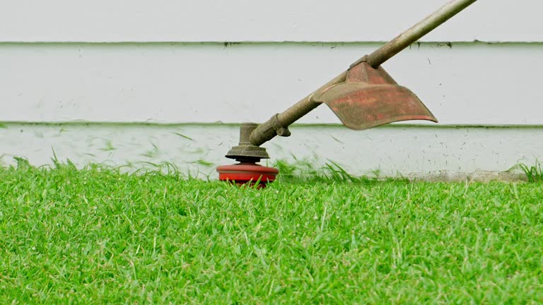 Best Stump Grinding and Removal  in North Wildwood, NJ